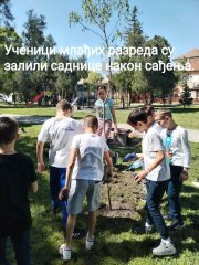viber_slika_2024-05-14_22-18-25-446.jpg